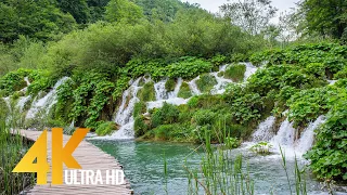 Plitvice Lakes National Park in 4K, Croatia - Nature Walking Tour - Short Preview Video