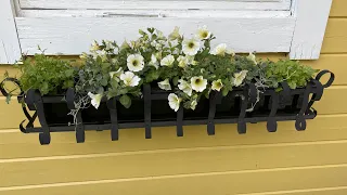 Plantera blomlåda med sommarblommor petunia lobelia | planting window box with summer blooms 🌸
