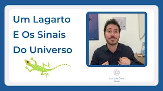 Um Lagarto E Os Sinais Do Universo