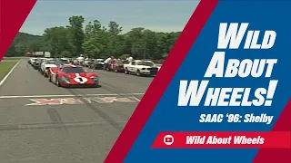 Shelby Convention: Cobras, Mustangs, Daytonas and More! | Wild About Wheels