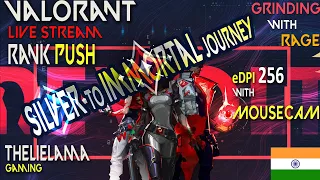 VALORANT LIVE STREAM 🔴 | GRINDING FOR RANK PUSH | SILVER TO IMMORTAL | eDPI 256  [MOUSECAM] #26