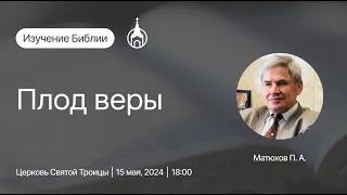 Изучение Библии | Саранск | 15 мая 2024 | Церковь Святой Троицы