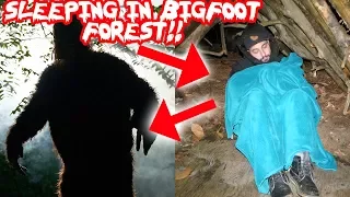 (BIGFOOT) 24 HOUR OVERNIGHT CHALLENGE IN BIGFOOT FOREST! BIGFOOT IS REAL I FOUND THIS! | MOE SARGI