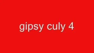 gipsy culi 4