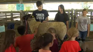 Clovis Unified holds Fall Agriculture Fair