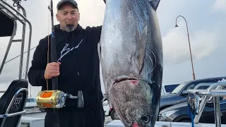 77.5kg Port Macdonnell Bluefin Tuna Solo Fishing