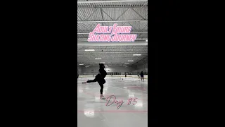 Adult Figure Skating Journey - Day 85