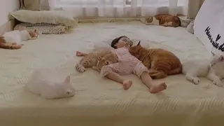 See how gently seven cats protect the child's sleep