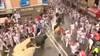 Бег быков на улице