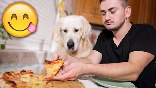 Eating PIZZA with My Dog - Dinner with a Golden Retriever!