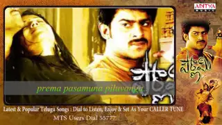 Pournami Songs With Lyrics - Bharata Vedamuga Song - Prabhas, Trisha, Charmi