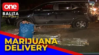 P3.6M halaga ng marijuana galing Benguet, nasabat ng mga pulis!