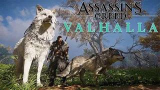 [Guide] Assassin's Creed Valhalla : ouvrir le puits des destinées (puits d'Urd)