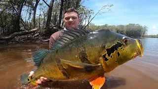 Tucunaré Açu em Barcelos -AM - dia espetacular de pesca - Barco Marruá