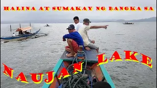 Naujan Lake - Tawirin ang Lawa Sakay ng bangka - Decadanse byPaul Mauriat