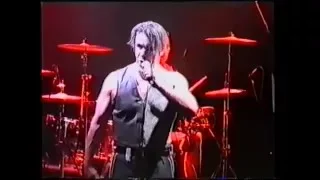 Rammstein - Bestrafe Mich (Live in Amsterdam)