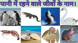 पानी में रहने वाले जीवों के नाम // Water Animal Names.//#chatkily siksha