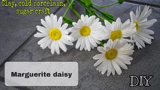 DIY. Handmade Marguerite Daisy Tutorial [polymerclay, coldporcelain, sugar craft, airdry clay]