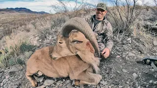 S9:E6 "TAKING TEXAS" Free Range Aoudad, Scimitar Oryx and Javalina