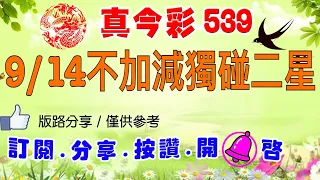 9/14今彩-不加減獨碰二星