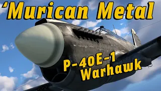 Reviewing The P-40E-1 | War Thunder Sim VR