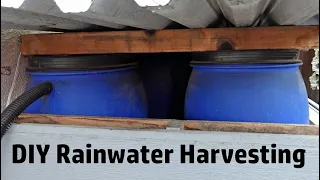 DIY Rainwater Harvesting System Collects 100's Of Gallons Of The Best Water Ever!