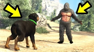 GTA 5 - Chop vs. Bigfoot! (Who Wins?)