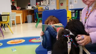 Reading to Dogs in the Library