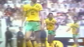 PSG - Nantes 1982-83, résumé