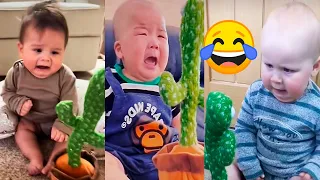 LAS MÁS ADORABLES REACCIONES DE BEBES AL CACTUS BAILARIN