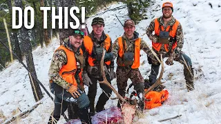 How To Hunt Elk & Deer in Montana | 2023 Application Strategy