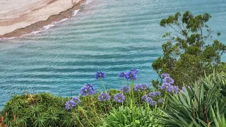 Calmly and comfortably  Beach today l GRASS COTTON++ || 4K Video (Ultra HD)