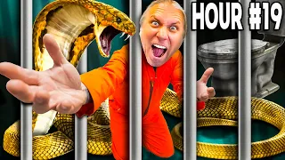 I Survived 24 Hours Locked In With A King Cobra!