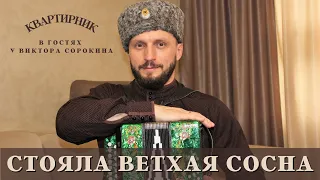 Виктор Сорокин | Стояла ветхая сосна