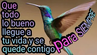 🦋Que todo lo bueno llegué a ti y se quede contigo para siempre