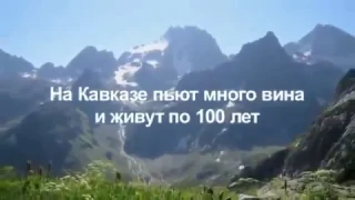 Народные заблуждения об алкоголе