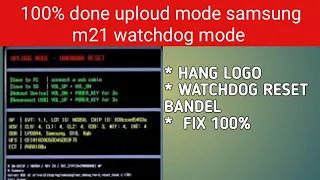 Watchdog Reset Mode Samsung