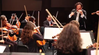 Dream Orchestra Brahms Violin Concerto