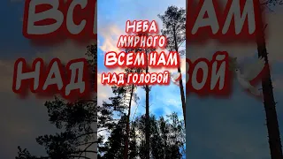 Красивое поздравление С 23 февраля🕊️ Стихи на 23 февраля от души для настоящих мужчин  #shorts