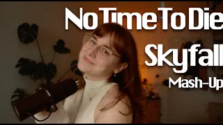 No Time To Skyfall (Billie Eilish / Adele) | 2023 diaries