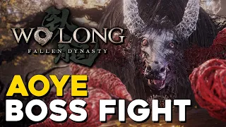 Wo Long Aoye Boss Fight