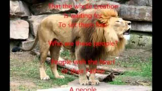 The Roar of the Lion of Judah