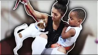 DJ GOT BIT BY A DOG | THE PRINCE FAMILY