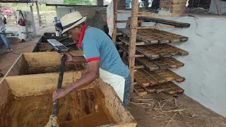 A TRADICIONAL RAPADURA DO SERTÃO NORDESTINO FEITA A MODA ANTIGA NO ANTIGO ENGENHO EM VERDEJANTE-PE.