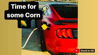 Lund Racing Flex Fuel Tune: 2019 Mustang GT