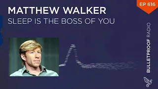 Sleep is the Boss of You – Matthew Walker, Ph D