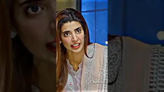 Meri shehzadi Latest ep #humtvdrama #merishehzadi #terebin #localbodyelection #karachi