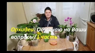 Орхидеи. Отвечаю на Ваши вопросы/1 часть