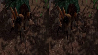 Video 3D - Aranha sai da tela novo - By Edson Batista