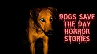 3 True Scary Stories Where Dogs Saved the Day